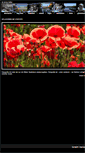 Mobile Screenshot of kiwifoto.de