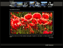 Tablet Screenshot of kiwifoto.de